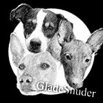 GladeSnuder_logo